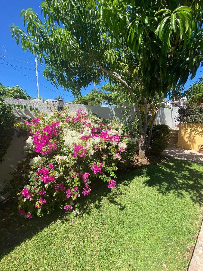 Zandoyo Bed & Breakfast Puerto Escondido  Luaran gambar