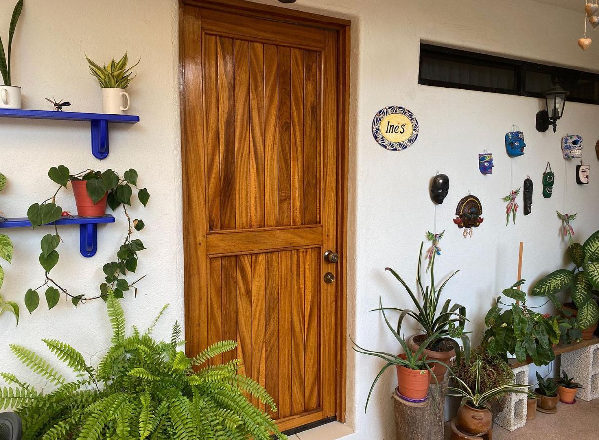 Zandoyo Bed & Breakfast Puerto Escondido  Luaran gambar